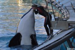 Marineland d’Antibes