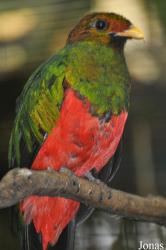 Weltvogelpark Walsrode