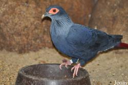 Weltvogelpark Walsrode