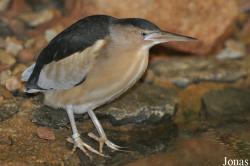 Weltvogelpark Walsrode