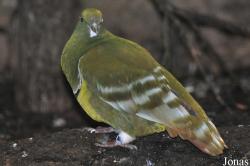Weltvogelpark Walsrode