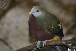 Weltvogelpark Walsrode