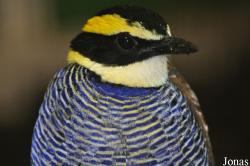 Weltvogelpark Walsrode