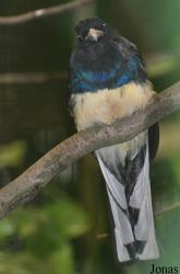 Weltvogelpark Walsrode