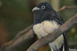 Weltvogelpark Walsrode