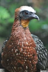 Weltvogelpark Walsrode
