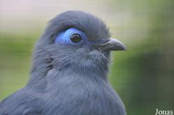 Weltvogelpark Walsrode