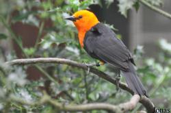 Weltvogelpark Walsrode