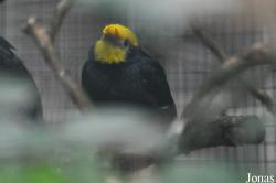 Weltvogelpark Walsrode