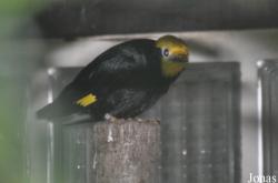 Weltvogelpark Walsrode