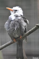 Weltvogelpark Walsrode
