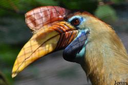 Weltvogelpark Walsrode