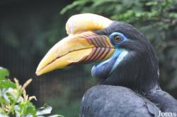 Weltvogelpark Walsrode