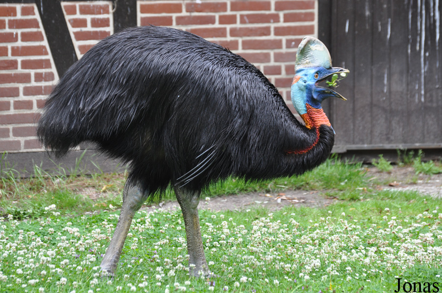 Weltvogelpark Walsrode