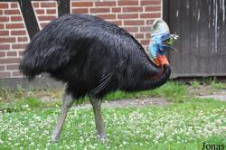 Weltvogelpark Walsrode