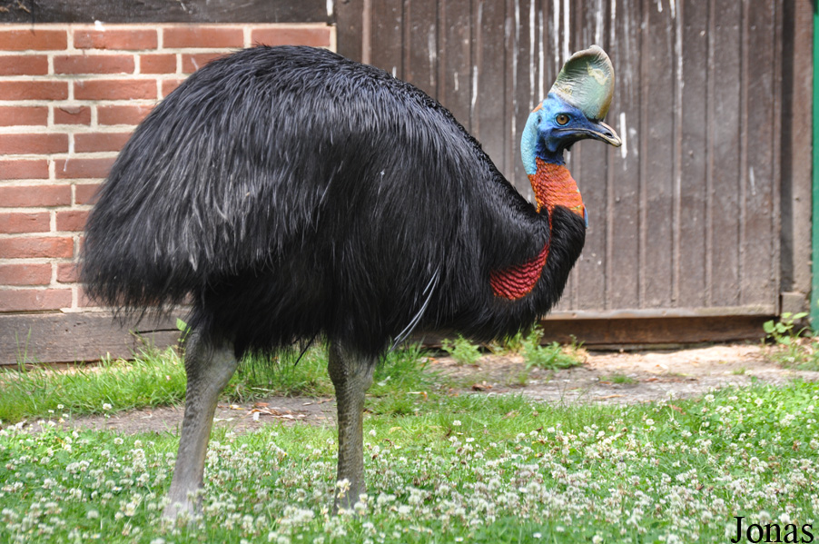 Weltvogelpark Walsrode
