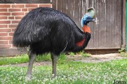 Weltvogelpark Walsrode