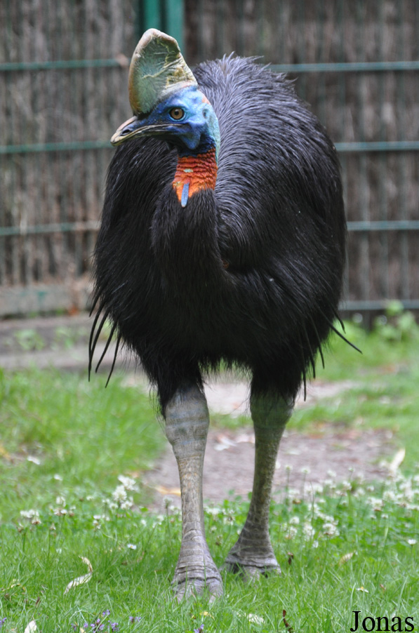 Weltvogelpark Walsrode