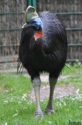 Weltvogelpark Walsrode