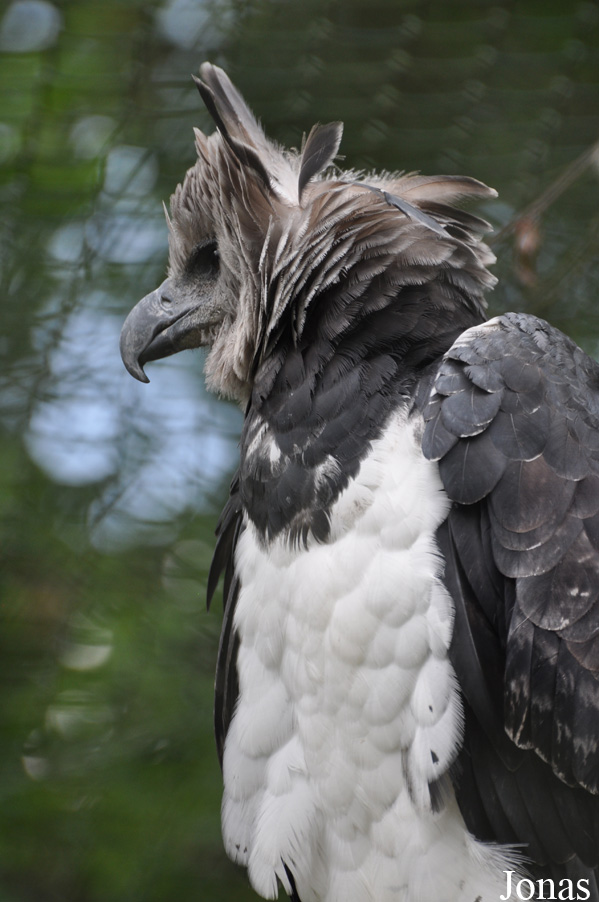Weltvogelpark Walsrode
