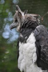 Weltvogelpark Walsrode