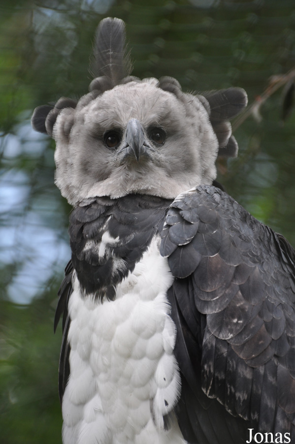 Weltvogelpark Walsrode