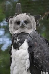 Weltvogelpark Walsrode