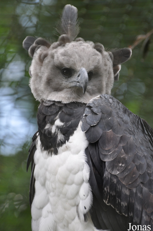 Weltvogelpark Walsrode