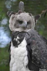 Weltvogelpark Walsrode