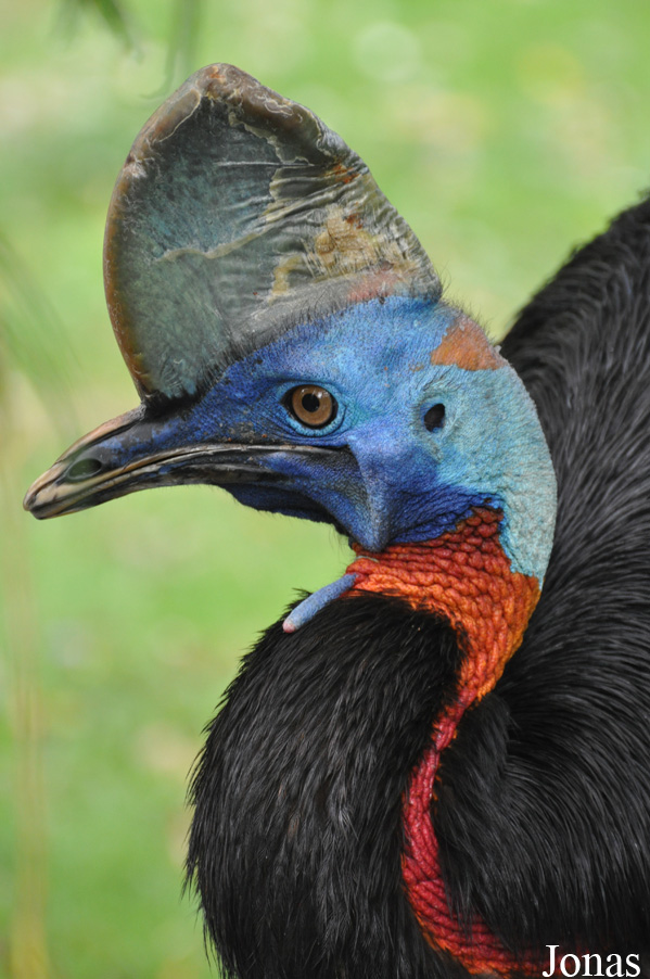 Weltvogelpark Walsrode