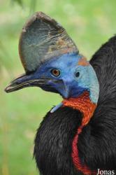 Weltvogelpark Walsrode