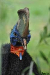 Weltvogelpark Walsrode