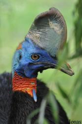 Weltvogelpark Walsrode
