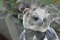 Weltvogelpark Walsrode