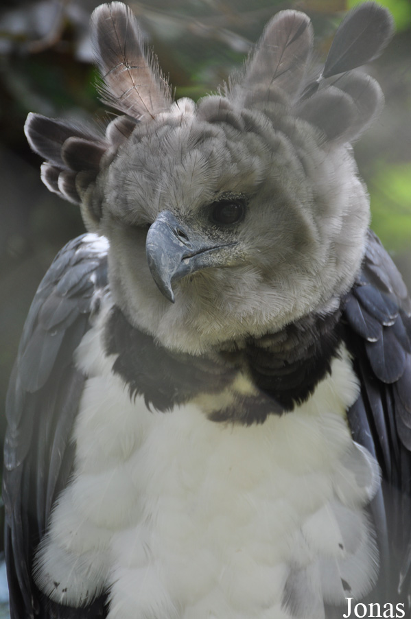 Weltvogelpark Walsrode