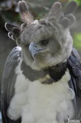 Weltvogelpark Walsrode