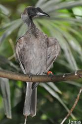 Weltvogelpark Walsrode