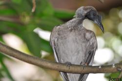 Weltvogelpark Walsrode