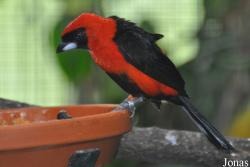 Weltvogelpark Walsrode