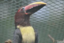 Weltvogelpark Walsrode