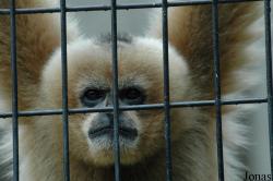 Shanghai Zoo