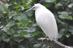 Weltvogelpark Walsrode