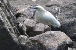 Weltvogelpark Walsrode