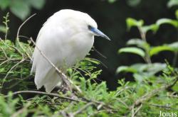 Weltvogelpark Walsrode