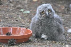 Weltvogelpark Walsrode
