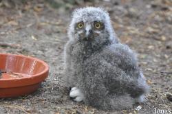 Weltvogelpark Walsrode