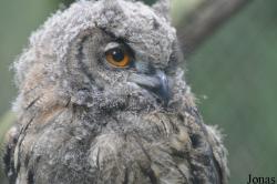 Weltvogelpark Walsrode