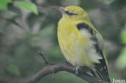 Weltvogelpark Walsrode