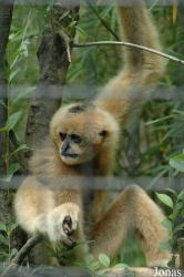 Shanghai Zoo