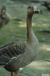 Shanghai Zoo